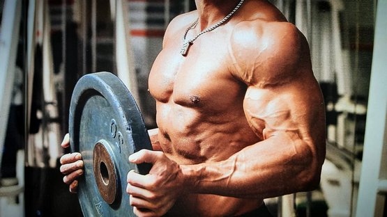 Boldenone: Indicaciones y Usos Boldenone: Indicaciones y Usos